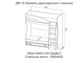 ДМ-16 Кровать двухъярусная с ящиком в Южноуральске - yuzhnouralsk.магазин96.com | фото