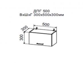 Шкаф верхний ДПГ500 горизонтальный в Южноуральске - yuzhnouralsk.магазин96.com | фото