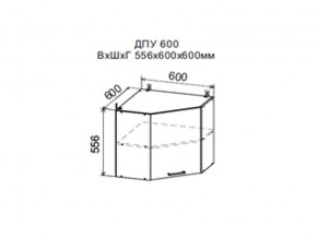 Шкаф верхний ДПУ600 угловой в Южноуральске - yuzhnouralsk.магазин96.com | фото
